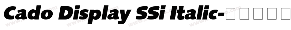 Cado Display SSi Italic字体转换